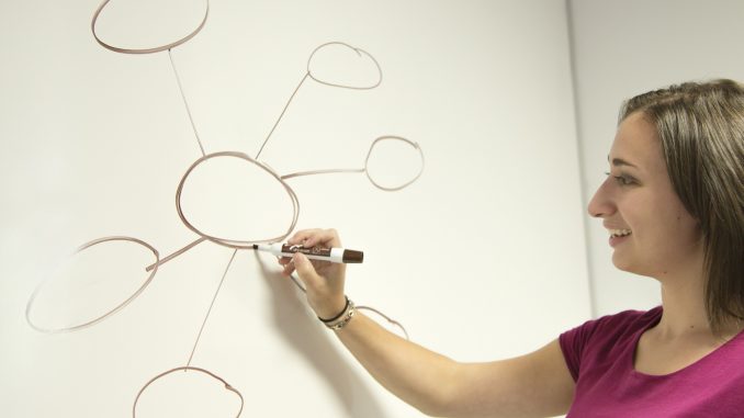 Evaluate Business Idea